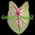 GreencornerdZ