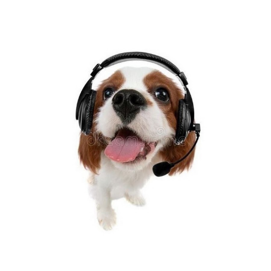 Listening dogs