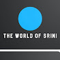 The World Of Srini