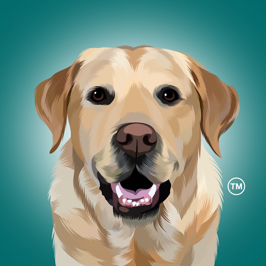Magnus The Therapy Dog @magnusthetherapydog