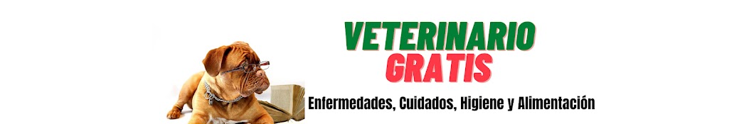 VETERINARIO GRATIS Banner