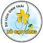 Bò Cạp Vàng