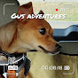 Adventures of Gus, the Chihuahua Mix Puppy