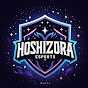 Hoshizora E-sports