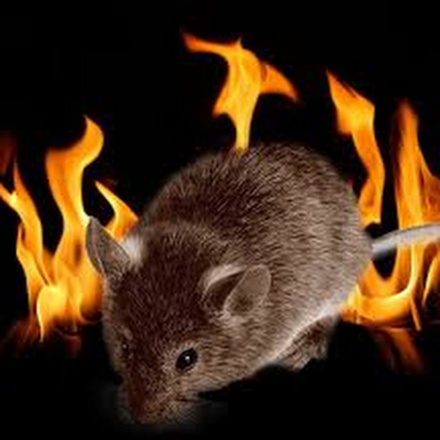 Fire mouse