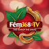 Fem368Tv