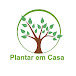 Plantar em Casa