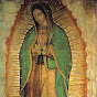  Apostolado da Virgem de Guadalupe