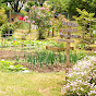 Potager naturel de Flo, tomate, courgette, etc...