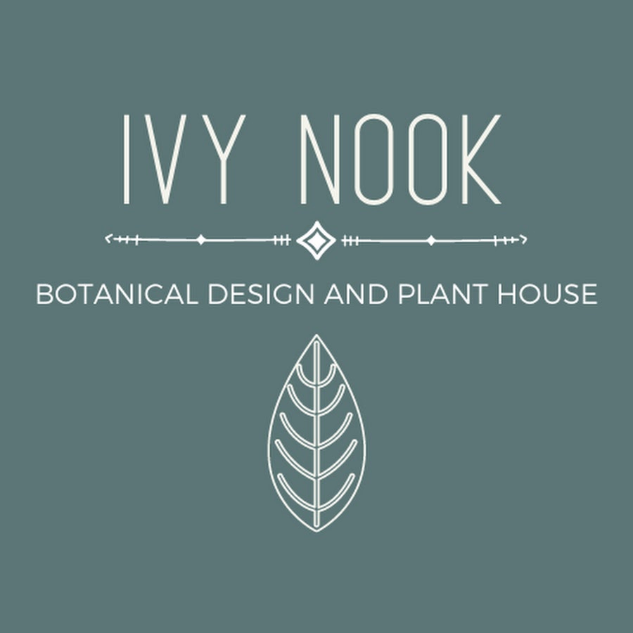 Dry Flower Bouquet Collection - Ivy Nook