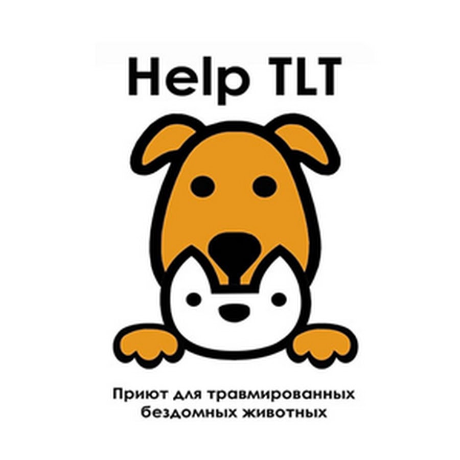 Приют «HELP TLT» г. Тольятти - YouTube