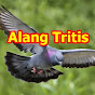 Alang Tritis