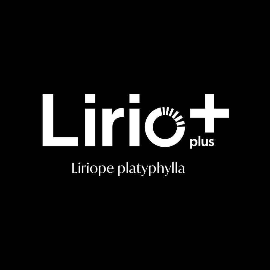 리리오플러스 - YouTube 리리오플러스