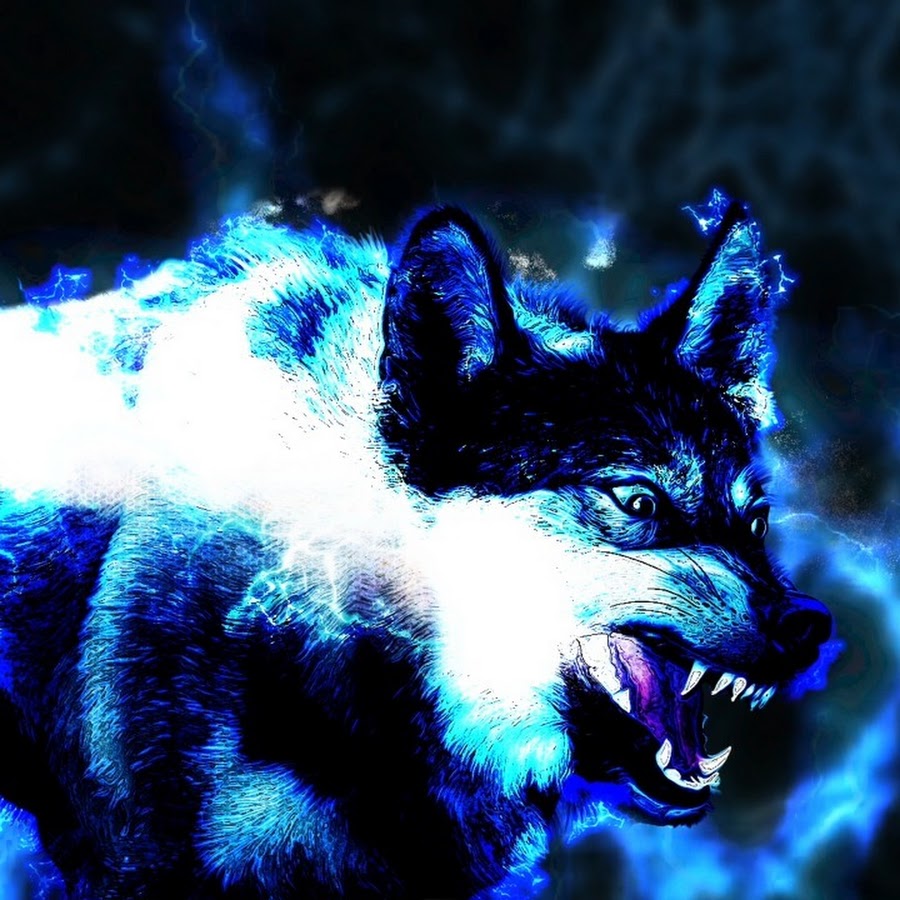 insanity wolf wallpaper