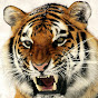 Cine Tamil Tiger