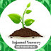 Injamul Nursery