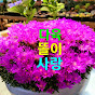 다육똘이사랑 Korean succulent plants 