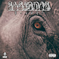 Artist Thumbnail