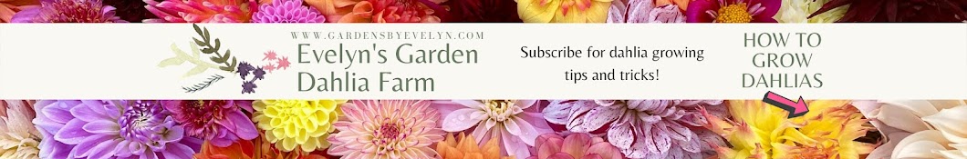 Evelyn's Garden and Nursery