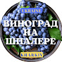 ВИНОГРАД НА ШПАЛЕРЕ