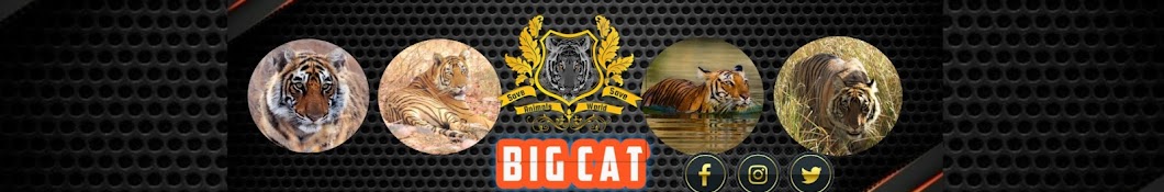 Big Cat Banner
