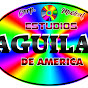 ESTUDIO AGUILAS DE AMÉRICA 