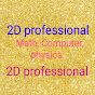 2D Professional