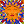 jaujacocinamexicana avatar