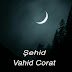 logo Vahid Corat - Topic