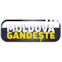 Moldova Gândește