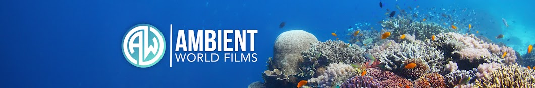 Ambient World Films