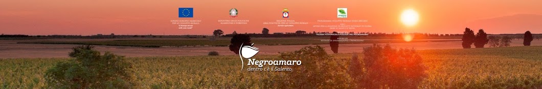 Negroamaro Experience