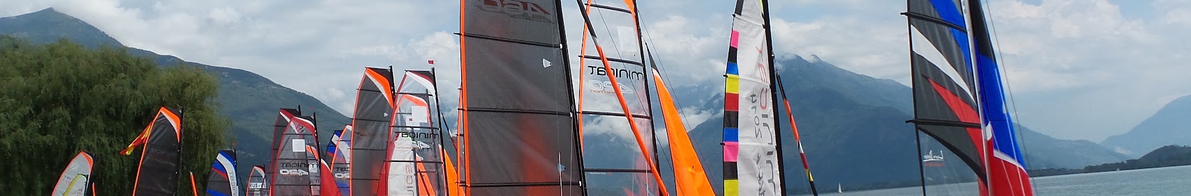 minicatschweiz6355