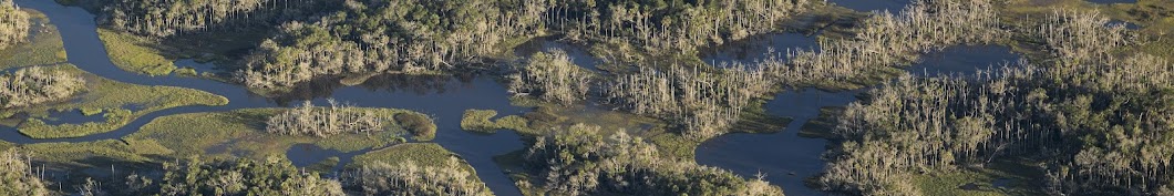 UF IFAS Nature Coast Biological Station