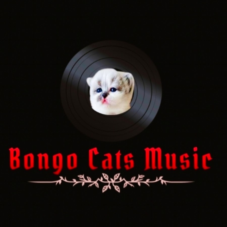 Bongo Cats Music