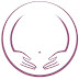 logo Little Bellies Ultrasound & Pregnancy Spa