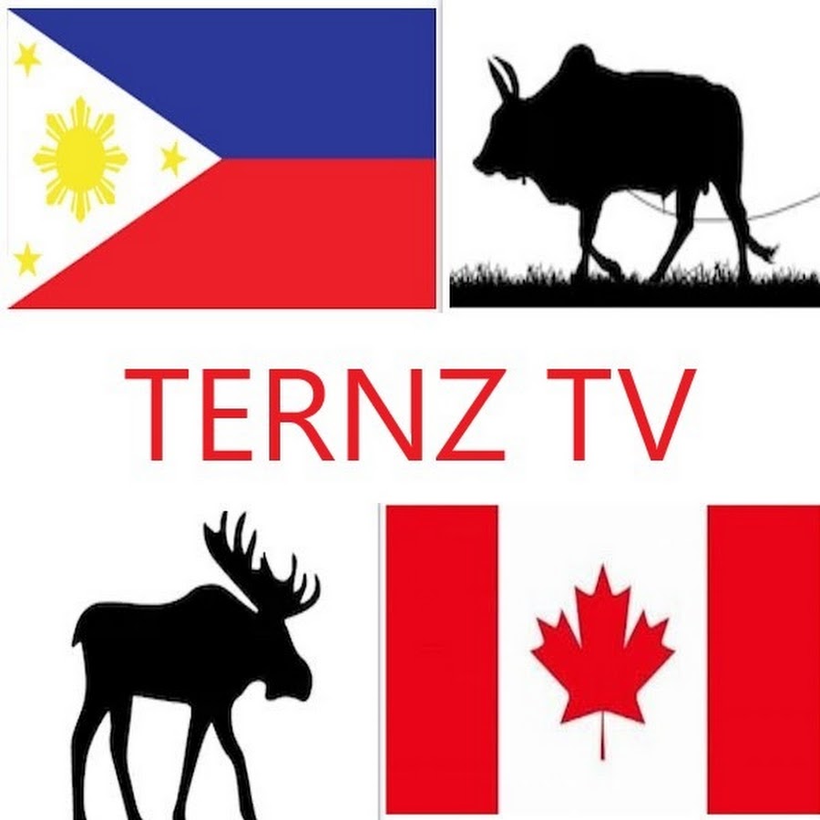Ternz TV