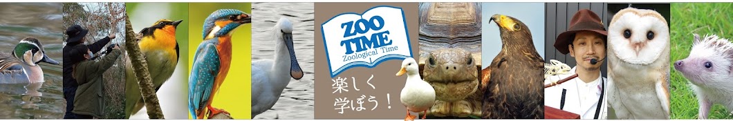 ZOO TIME