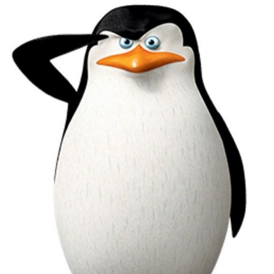 Пингвины из Мадагаскара мемы на белом фоне