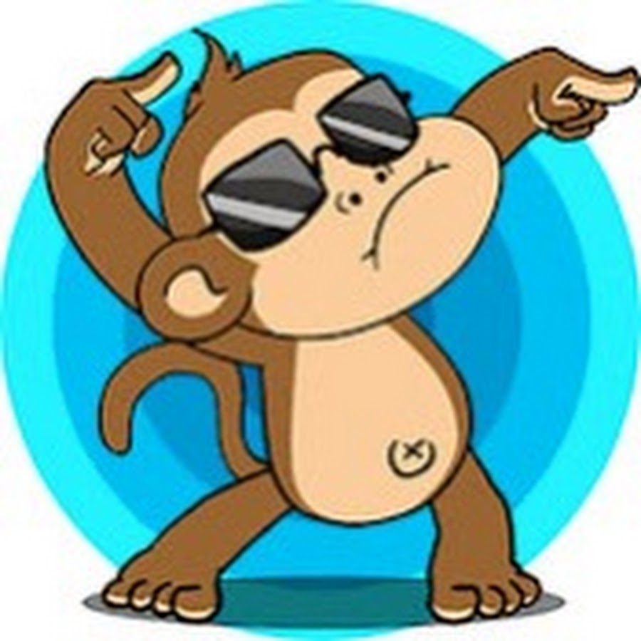 Baby Monkey Animal @BabyMonkeyAnimal