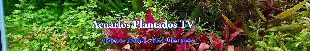 Acuarios Plantados TV