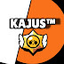 logo Kajus™