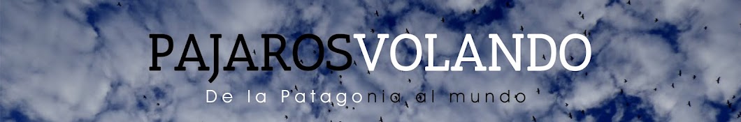 Pájaros Volando