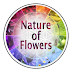 logo Quentin Carpenter Natureofflowers