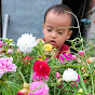 hoa kiểng bến tre (family garden)