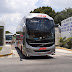 Alejandro Buses MX