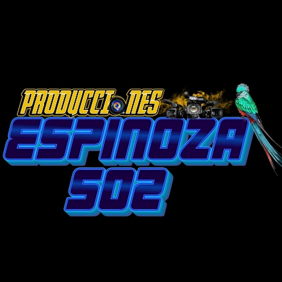 Producciónes Espinoza 502