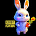 logo RABBIT PLAY KIDS