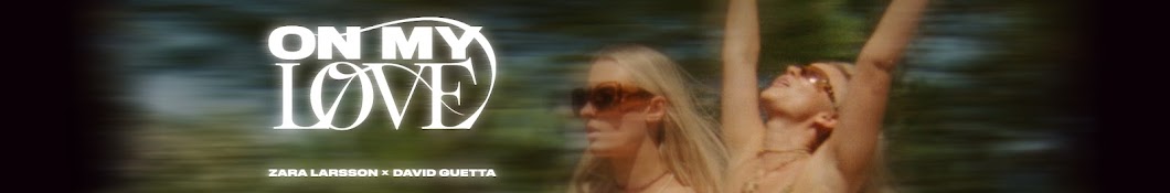 Zara Larsson Banner