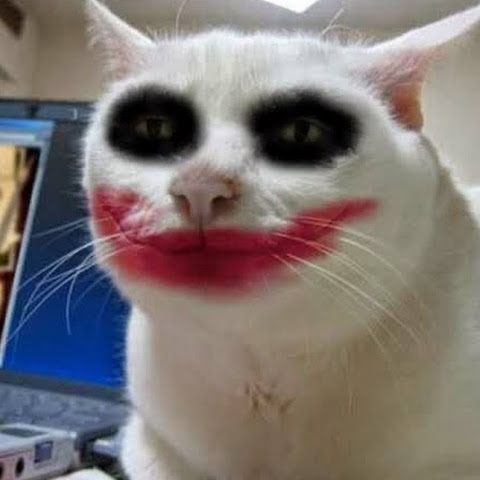 influencer profile picture